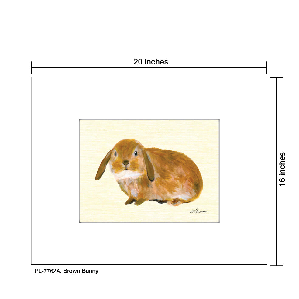 Brown Bunny, Print (#7762A)