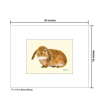 Brown Bunny, Print (#7762A)