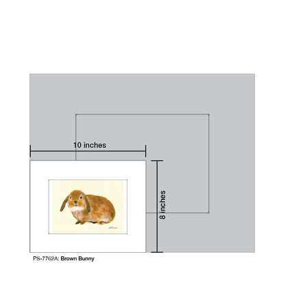 Brown Bunny, Print (#7762A)