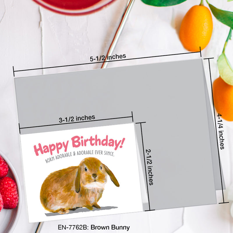 Brown Bunny, Greeting Card (7762B), Enclosure, www.printedcanvas.com