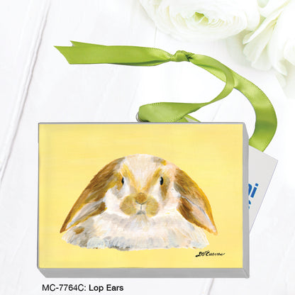 Lop Ears, Mini Canvas (MC-7764C)