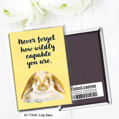 Lop Ears, Magnet (M-7764E)