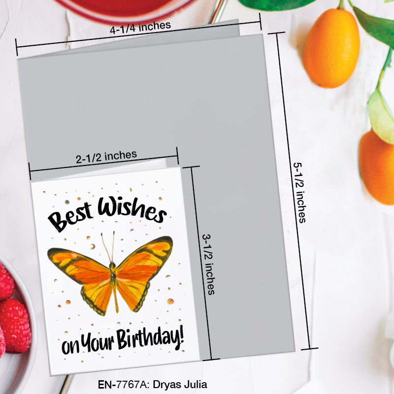 Dryas Julia Butterfly, Greeting Card (7767A), Enclosure, www.printedcanvas.com