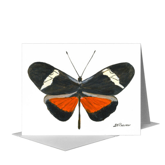 Heliconius Clysonimus Montanus Butterfly, Greeting Card (#7768A) A2 Card Front, www.printedcanvas.com