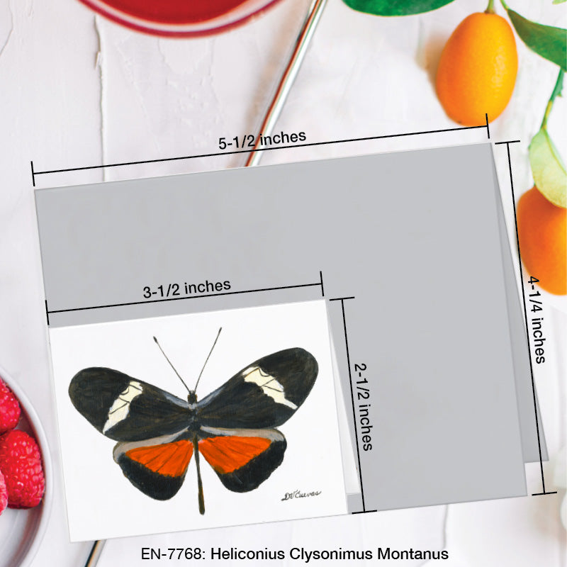 Heliconius Clysonimus Montanus Butterfly, Greeting Card (7768A), Enclosure Card, www.printedcanvas.com