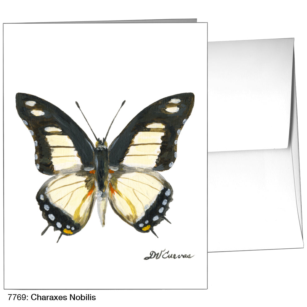 Charaxes Nobilis, Greeting Card (7769), A2, printedcanvas.com