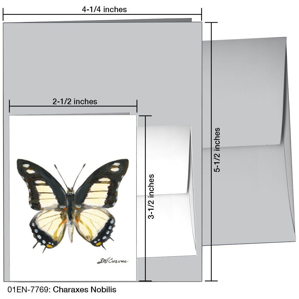 Charaxes Nobilis, Greeting Card (7769), Enclosure, printedcanvas.com