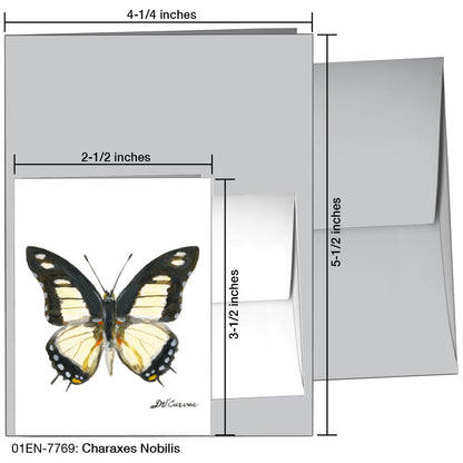 Charaxes Nobilis, Greeting Card (7769), Enclosure, printedcanvas.com