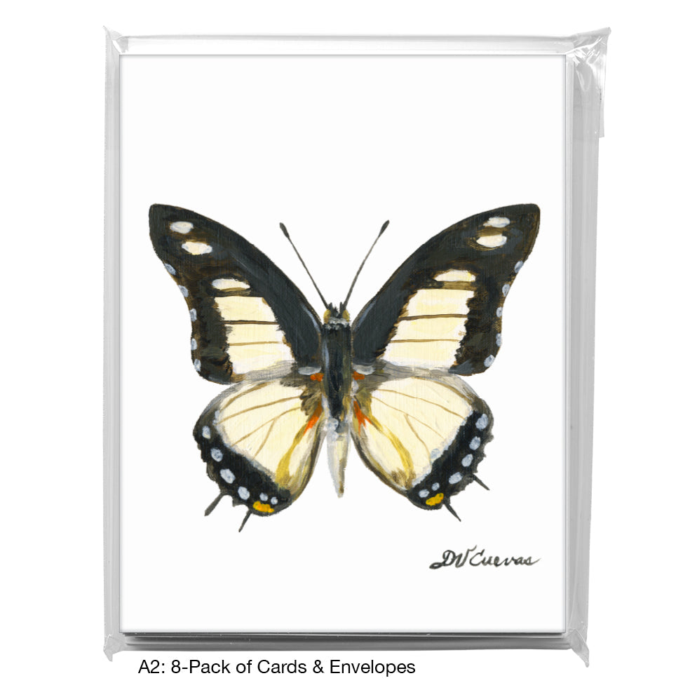 Charaxes Nobilis, Greeting Card (7769), A2 8-Pack, printedcanvas.com