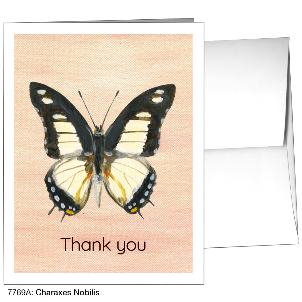 Charaxes Nobilis, Greeting Card (7769A), A2 Card Front, www.printedcanvas.com