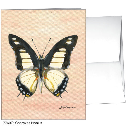 Charaxes Nobilis, Greeting Card (7769C), A2, printedcanvas.com