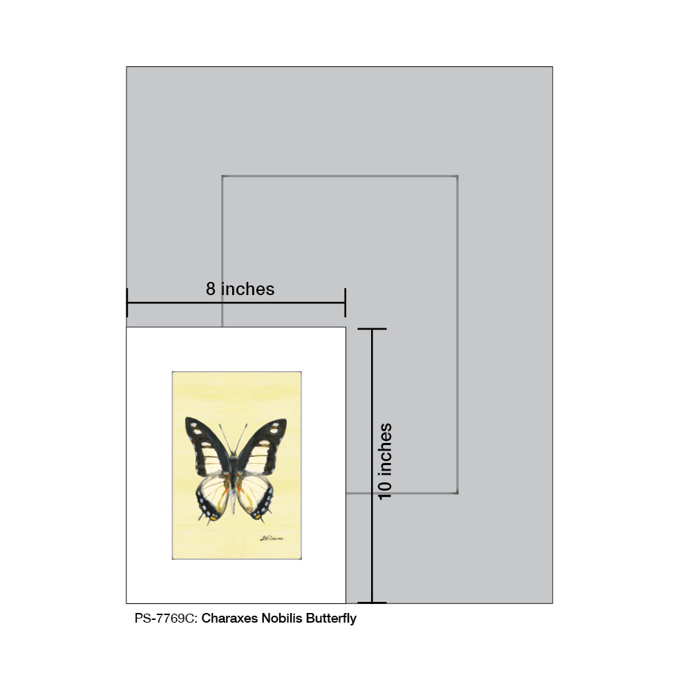 Charaxes Nobilis Butterfly, Print (#7769C)