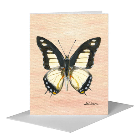 Charaxes Nobilis Butterfly, Greeting Card (#7769C) A2 Card Front, www.printedcanvas.com