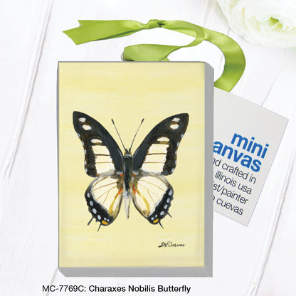 Charaxes Nobilis Butterfly, Mini Canvas (MC-7769C)
