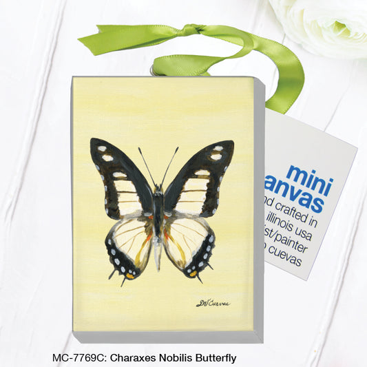 Charaxes Nobilis Butterfly, Mini Canvas (MC-7769C)