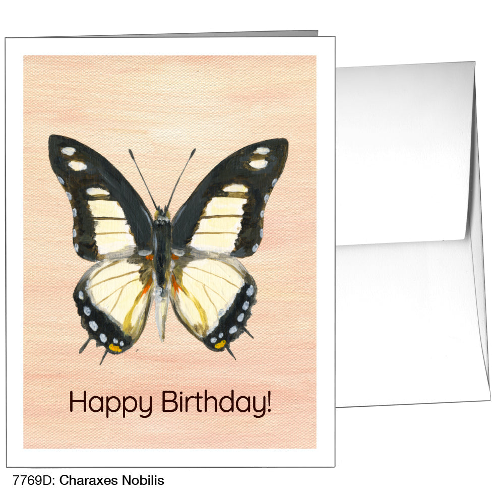 Charaxes Nobilis, Greeting Card (7769D), A2, printedcanvas.com