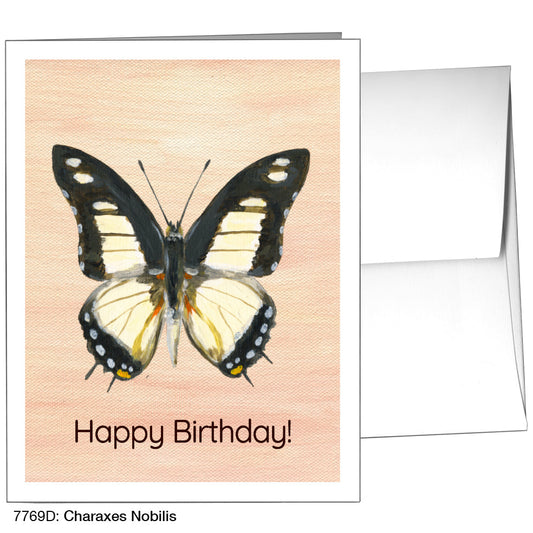 Charaxes Nobilis, Greeting Card (7769D), A2, printedcanvas.com