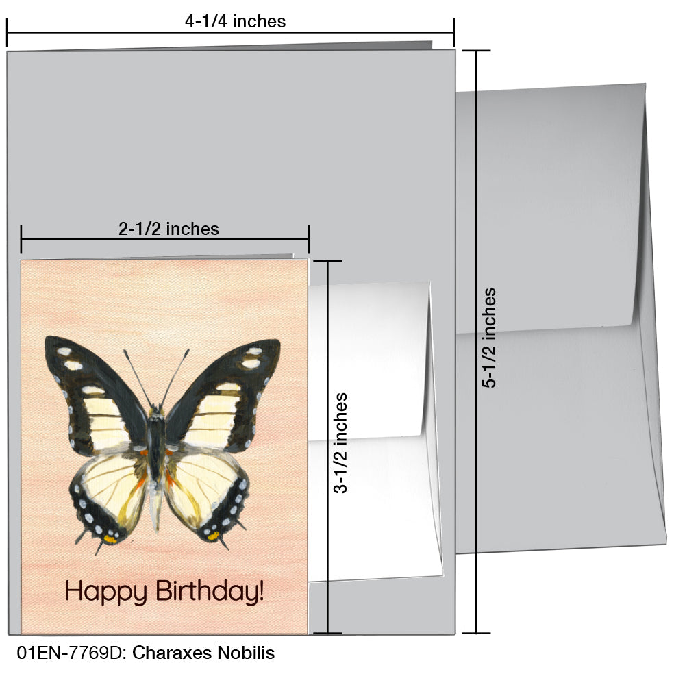 Charaxes Nobilis, Greeting Card (7769D), Enclosure, printedcanvas.com