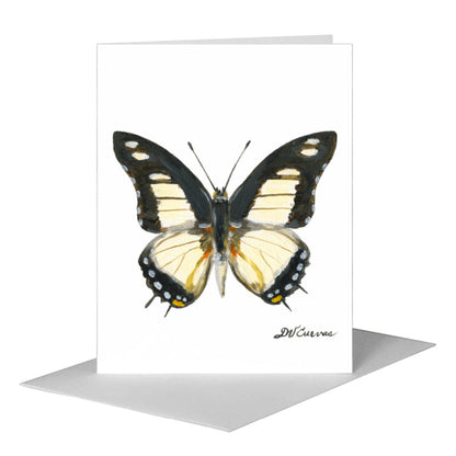 Charaxes Nobilis Butterfly, Greeting Card (#7769B), A2 Card Front, www.printedcanvas.com