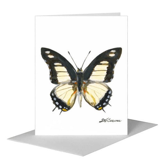 Charaxes Nobilis Butterfly, Greeting Card (#7769B) A2 Card Front, www.printedcanvas.com