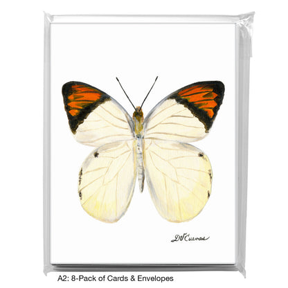 Hebomoia Glaucippe Felderi, Greeting Card (7770), A2 8-Pack, printedcanvas.com