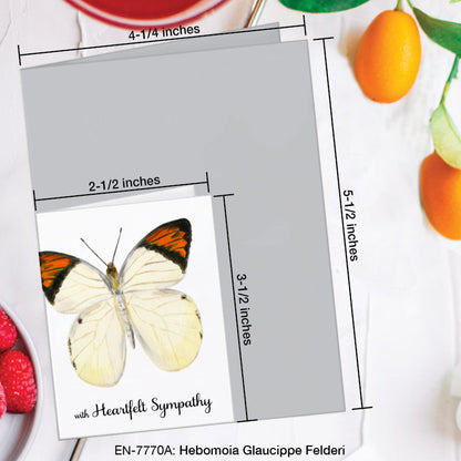 Hebomoia Glaucippe Felderi Butterfly, Greeting Card (7770A), Enclosure, www.printedcanvas.com