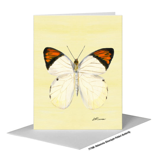 Hebomoia Glaucippe Felderi Butterfly, Greeting Card (#7770B)