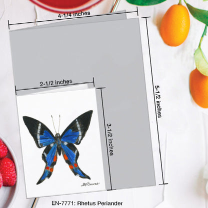 Rhetus Periander Butterfly, Greeting Card (7771A), Enclosure Card, www.printedcanvas.com