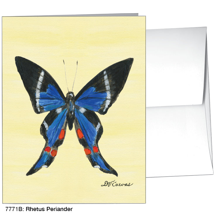 Rhetus Periander Butterfly, Greeting Card (#7771B), A2 Card, www.printedcanvas.com