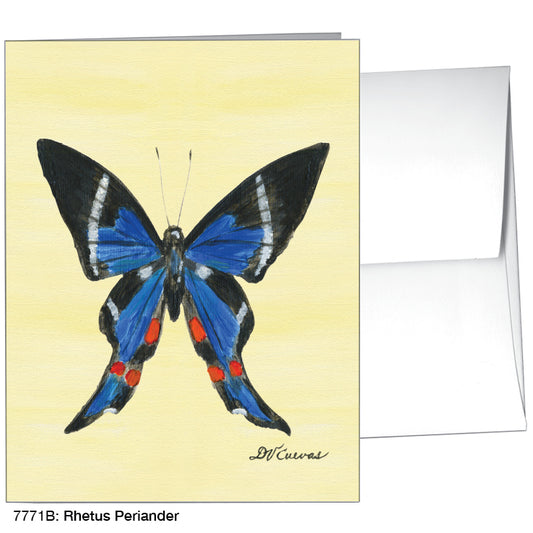 Rhetus Periander Butterfly, Greeting Card (#7771B), A2 Card, www.printedcanvas.com