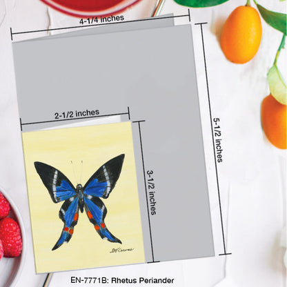 Rhetus Periander Butterfly, Greeting Card (#7771B), Enclosure Card, www.printedcanvas.com