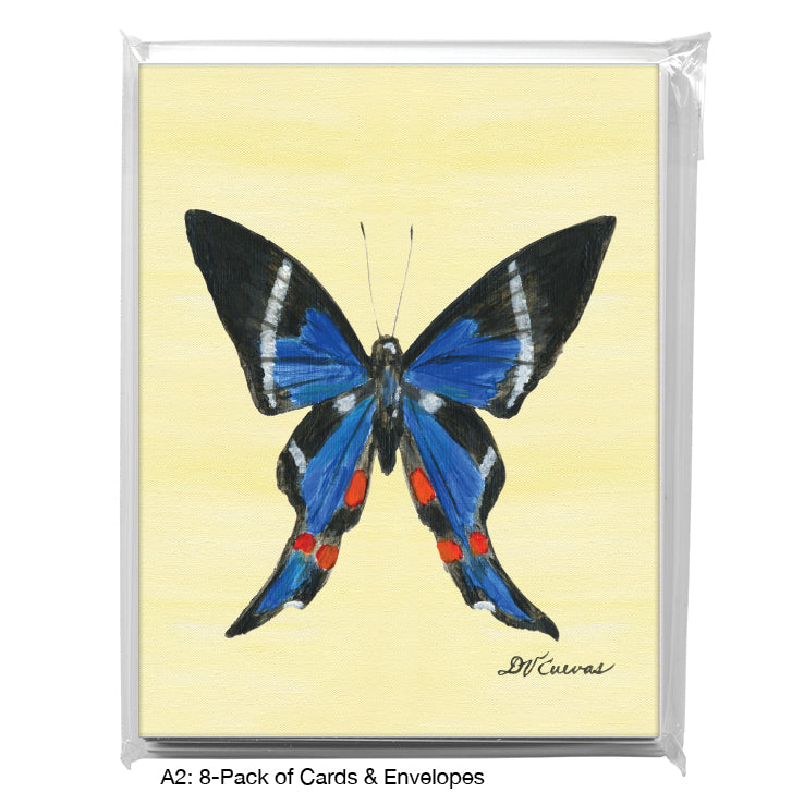 Rhetus Periander Butterfly, Greeting Card (#7771B), 8-Pack, www.printedcanvas.com