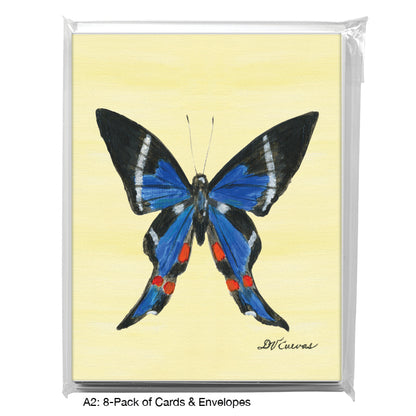 Rhetus Periander Butterfly, Greeting Card (#7771B), 8-Pack, www.printedcanvas.com