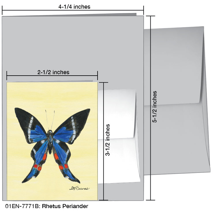 Rhetus Periander Butterfly, Greeting Card (#7771B), Enclosure Card, www.printedcanvas.com