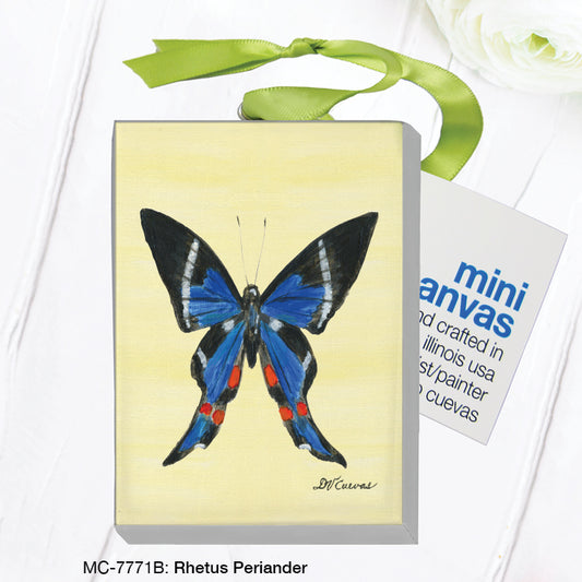 Rhetus Periander Butterfly, Mini Canvas (MC-7771B)