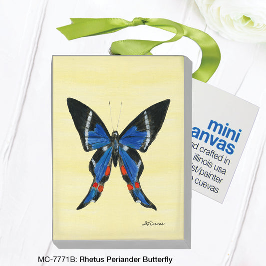 Rhetus Periander Butterfly, Mini Canvas (MC-7771B)