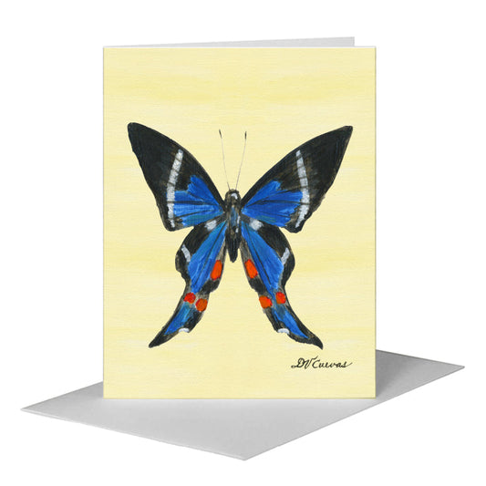 Rhetus Periander Butterfly, Greeting Card (#7771B) A2 Card Front, www.printedcanvas.com