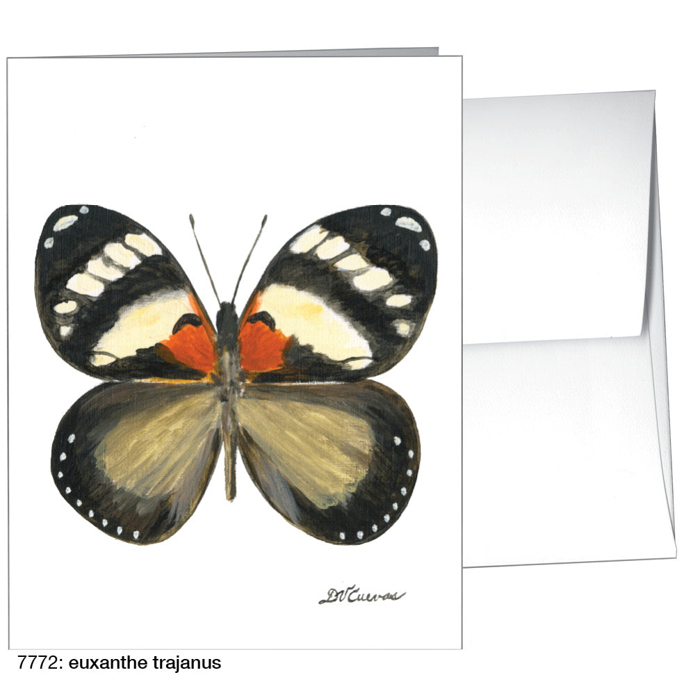 Euxanthe Trajanus, Greeting Card (7772), A2, printedcanvas.com