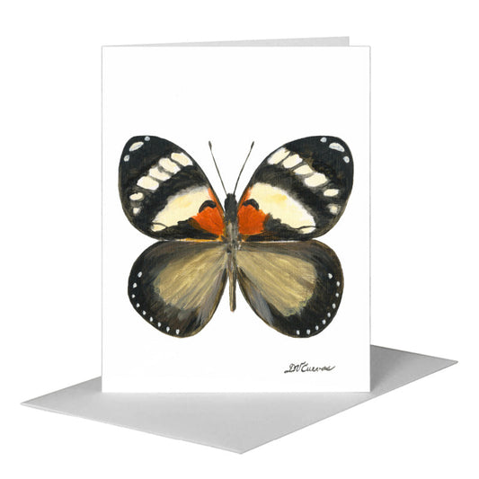 Euxanthe Trajanus Butterfly, Greeting Card (#7772A) A2 Card Front, www.printedcanvas.com