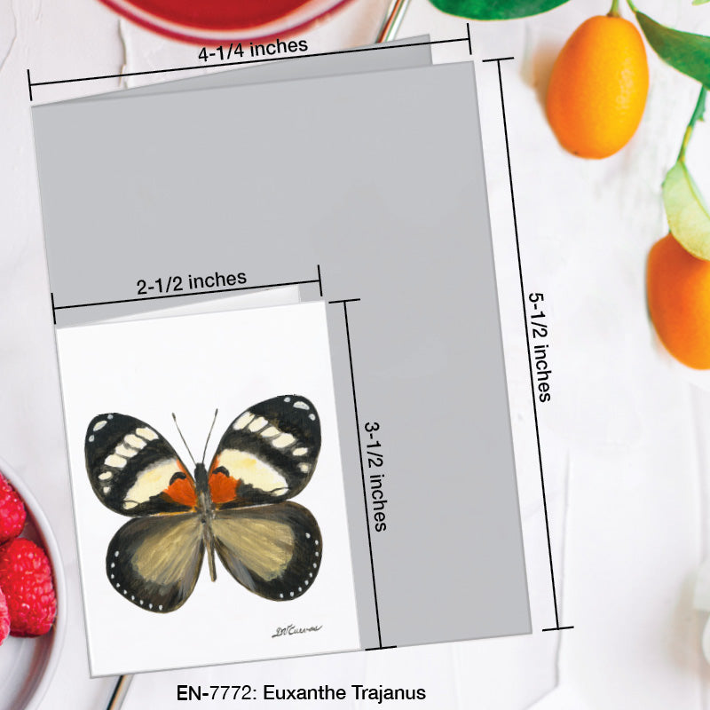 Euxanthe Trajanus Butterfly, Greeting Card (7772A), Enclosure Card, www.printedcanvas.com