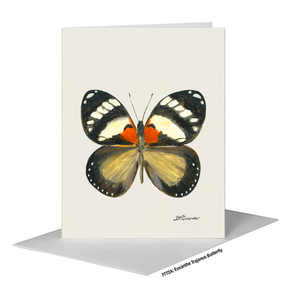 Euxanthe Trajanus Butterfly, Greeting Card (#7772A)