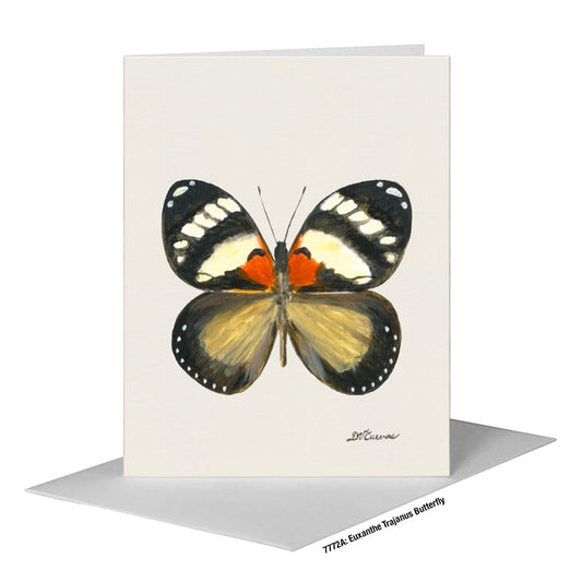 Euxanthe Trajanus Butterfly, Greeting Card (#7772A)