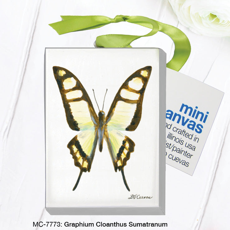 Graphium Cloanthus Sumatranum, Mini Canvas (MC-7773), Front, printedcanvas.com