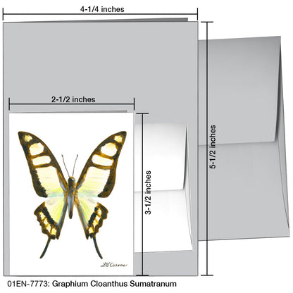 Graphium Cloanthus Sumatranum, Greeting Card (7773), Enclosure, printedcanvas.com