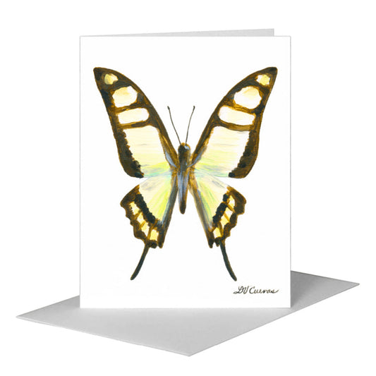 Graphium Cloanthus Sumatranum Butterfly, Greeting Card (#7773A) A2 Card Front, www.printedcanvas.com