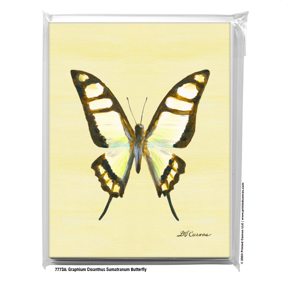 Graphium Cloanthus Sumatranum Butterfly, Greeting Card (#7773A)
