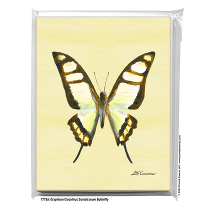Graphium Cloanthus Sumatranum Butterfly, Greeting Card (#7773A)