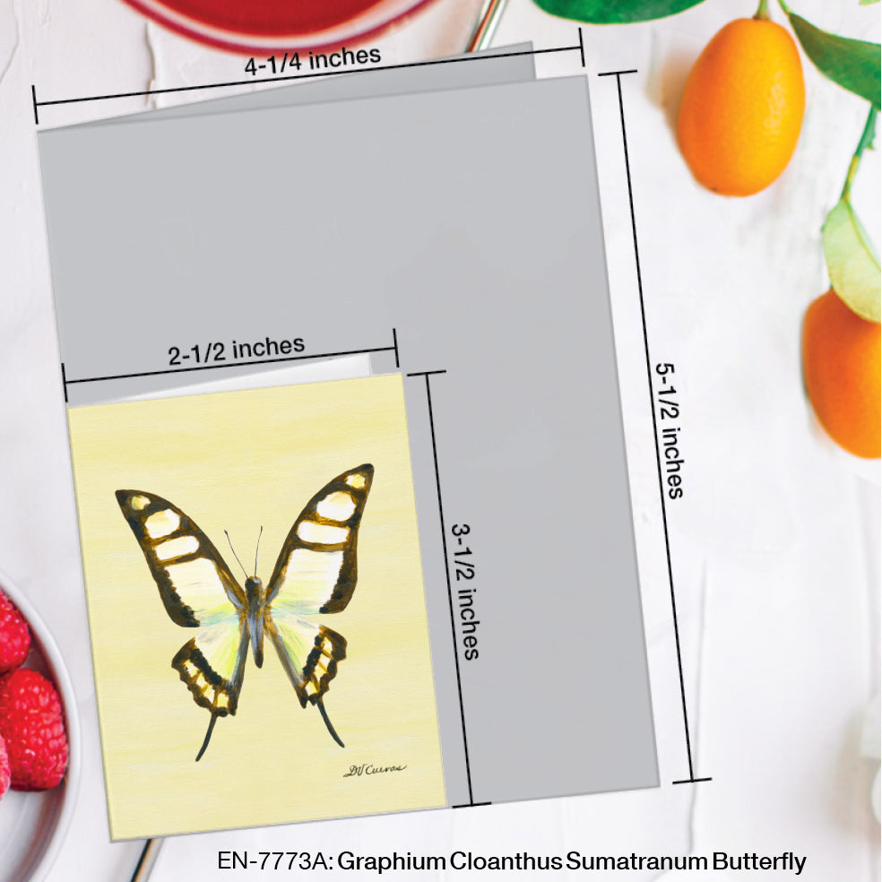 Graphium Cloanthus Sumatranum Butterfly, Greeting Card (#7773A)