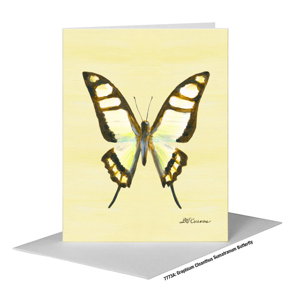 Graphium Cloanthus Sumatranum Butterfly, Greeting Card (#7773A)