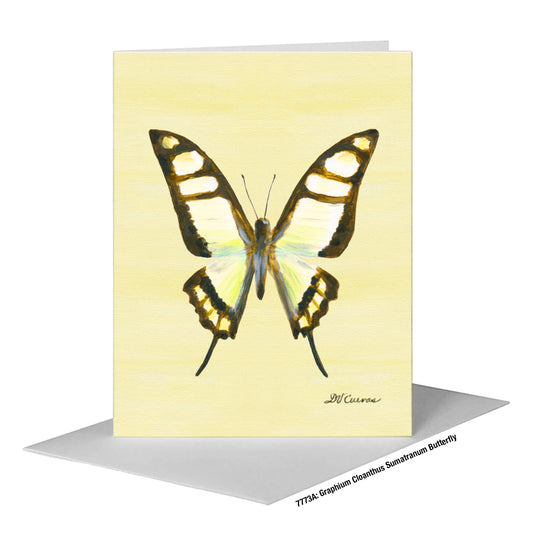 Graphium Cloanthus Sumatranum Butterfly, Greeting Card (#7773A)